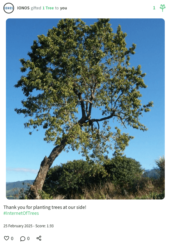 A Tree-Nation planting confirmation for the IONOS referral program